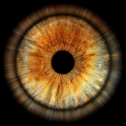 Impresión fotográfica HQ