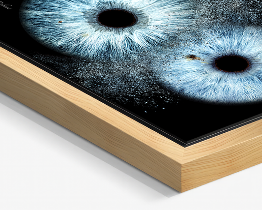 DUALIS FLOAT™ – Gallery Frame