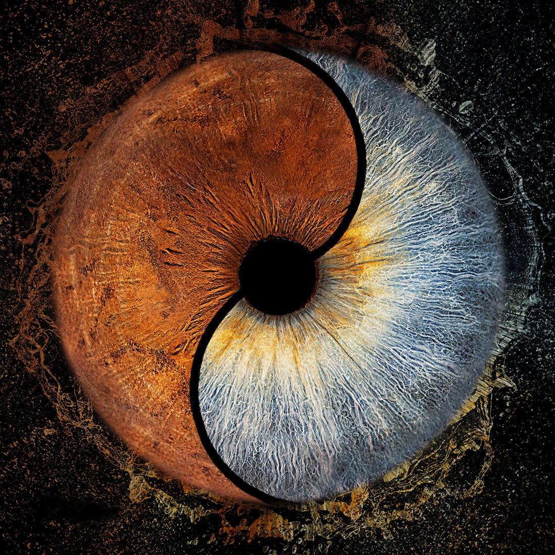 Pigmentación del iris: por qué los ojos tienen diferentes colores