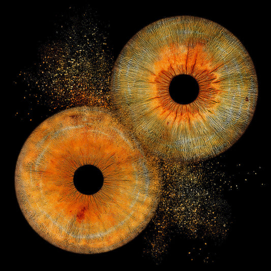 Reinventa el concepto del regalo: de lo típico a lo inesperado