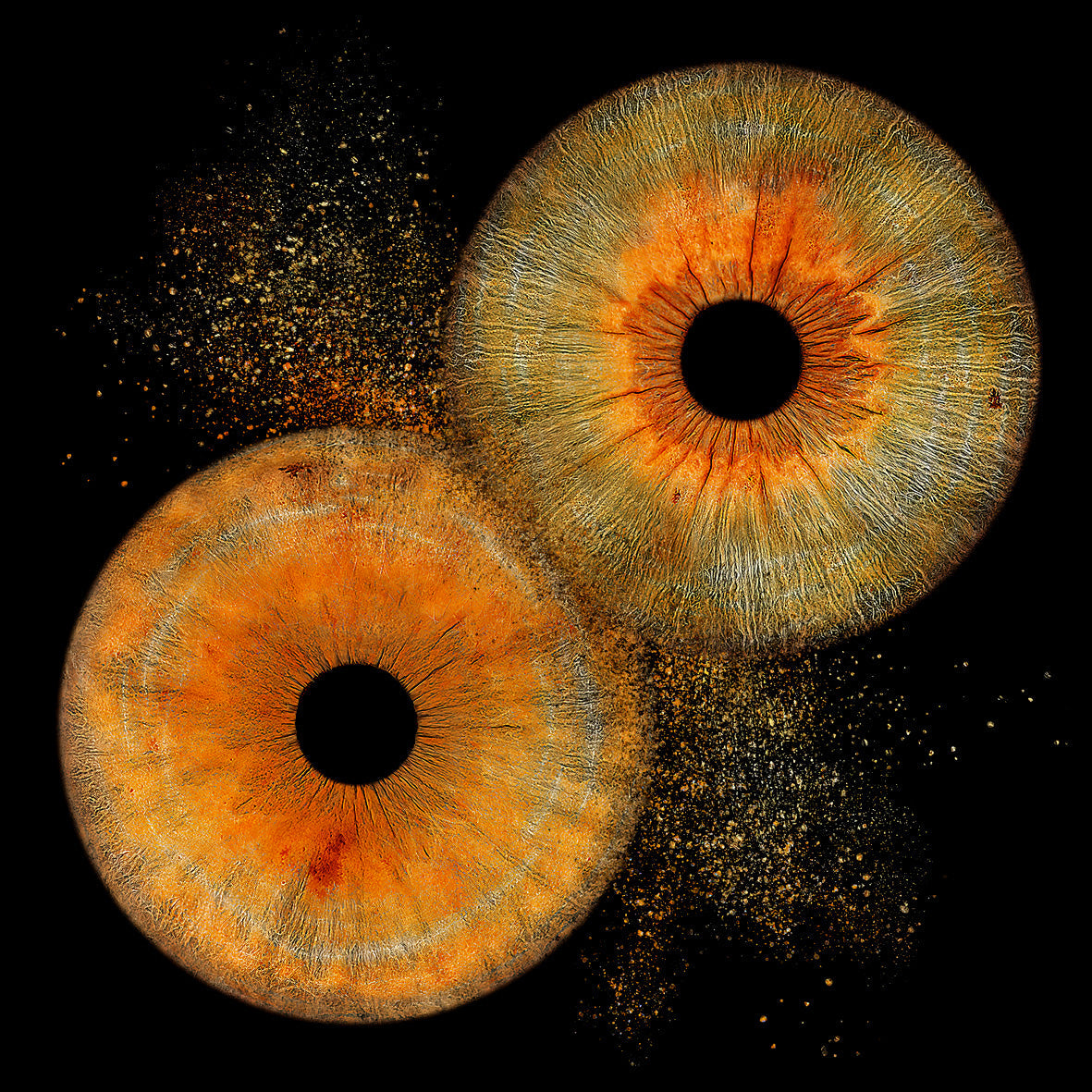 Impresión Fotográfica HQ - IRIS PURE™ – Fine Art Print - Desde 45€