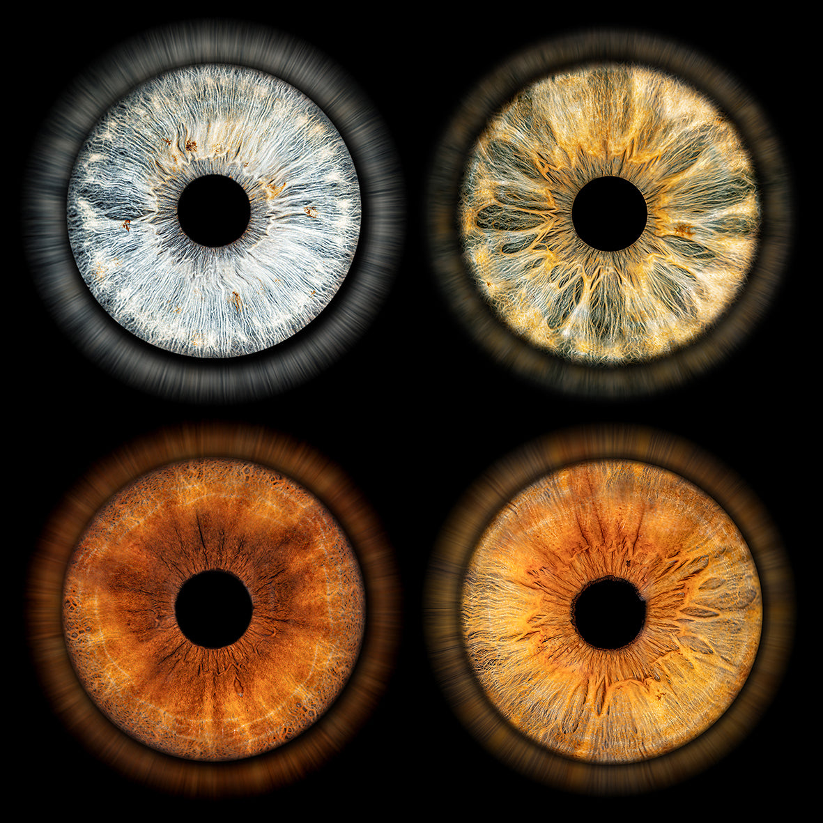 Impresión fotográfica HQ