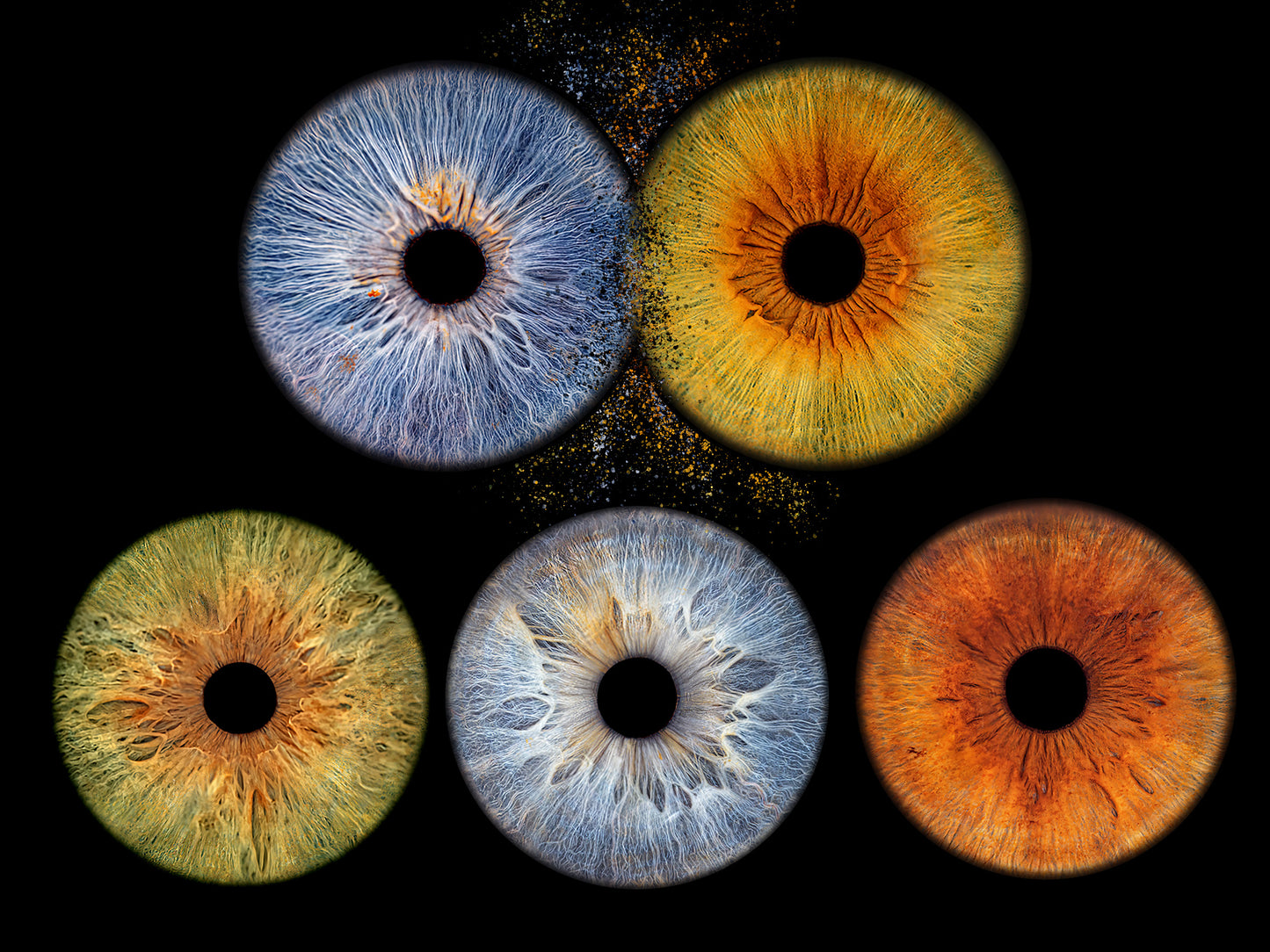 Impresión fotográfica HQ