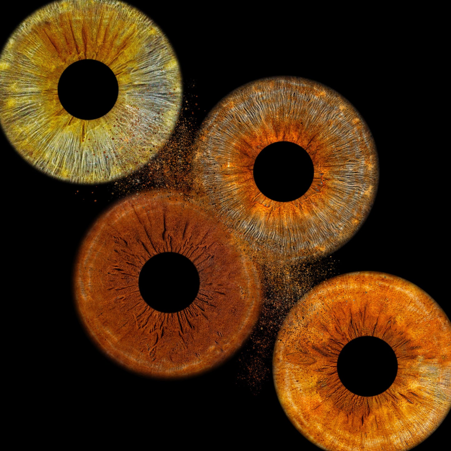 DIGITAL Arte 4K resolución