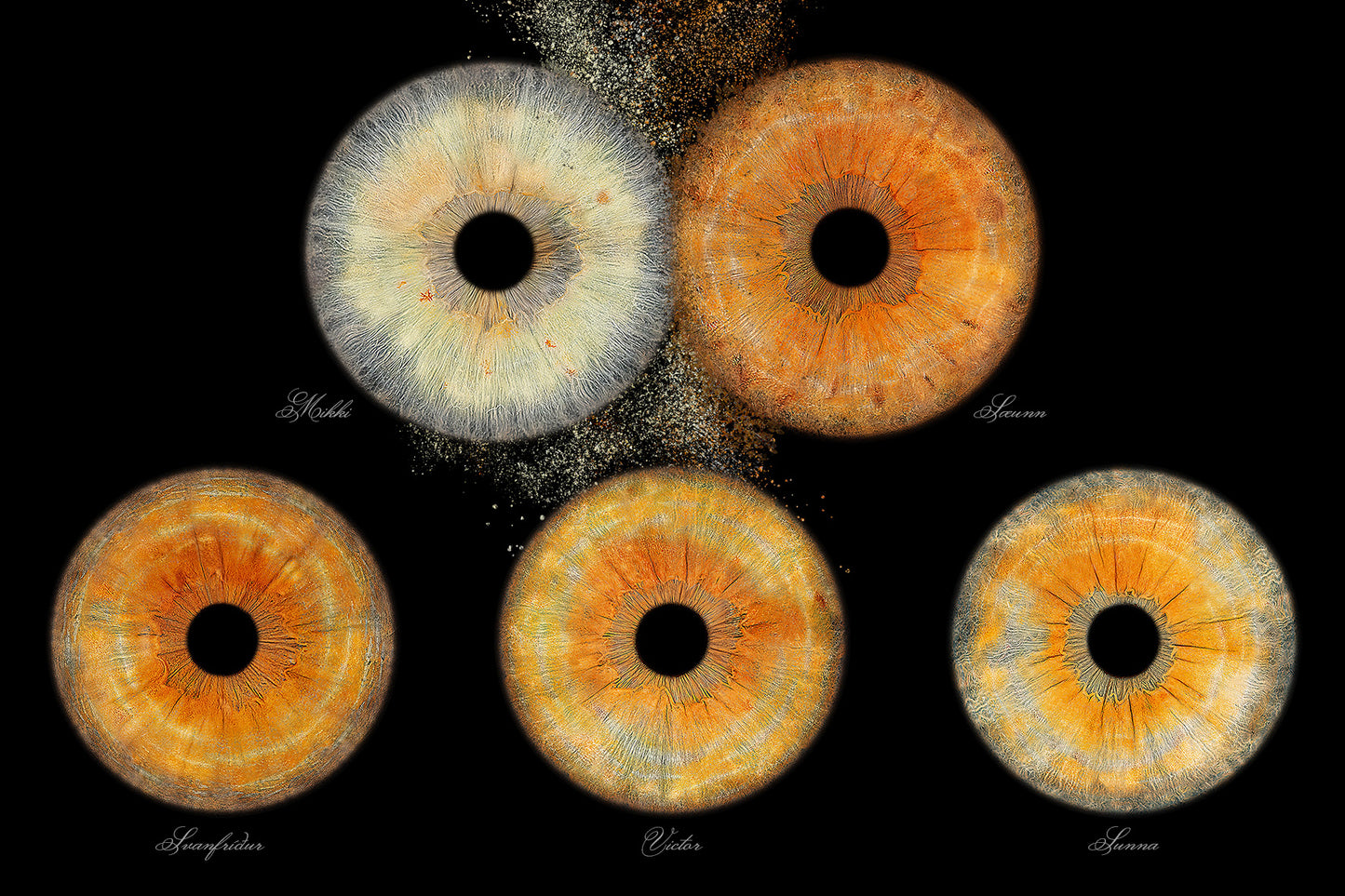 DIGITAL Arte 4K resolución