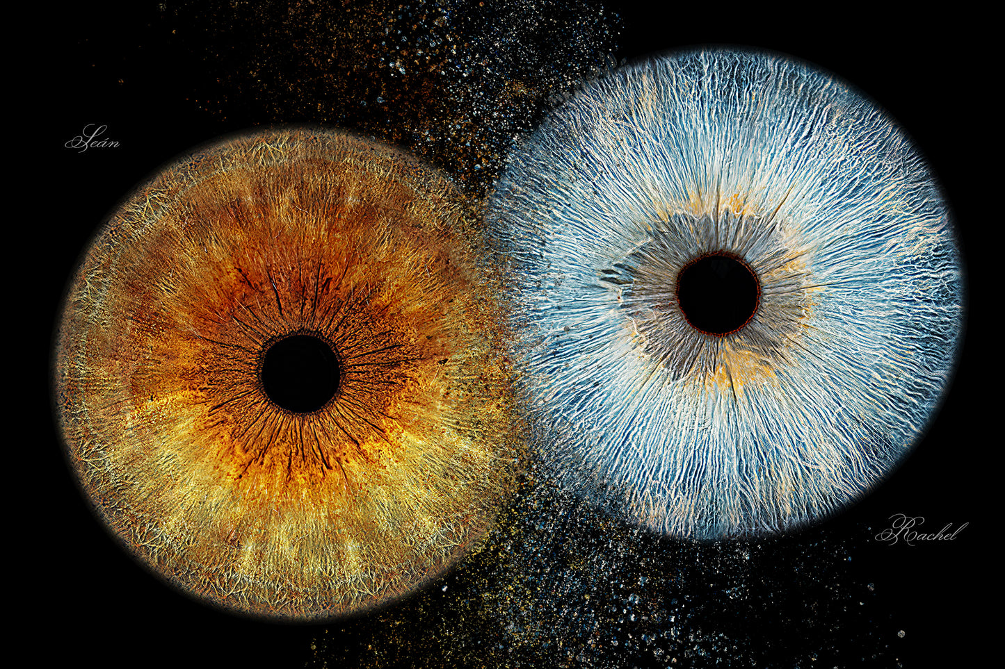 DIGITAL Arte 4K resolución