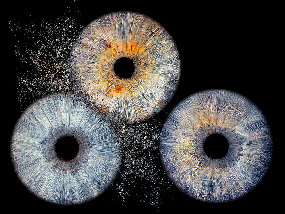 Impresión fotográfica HQ