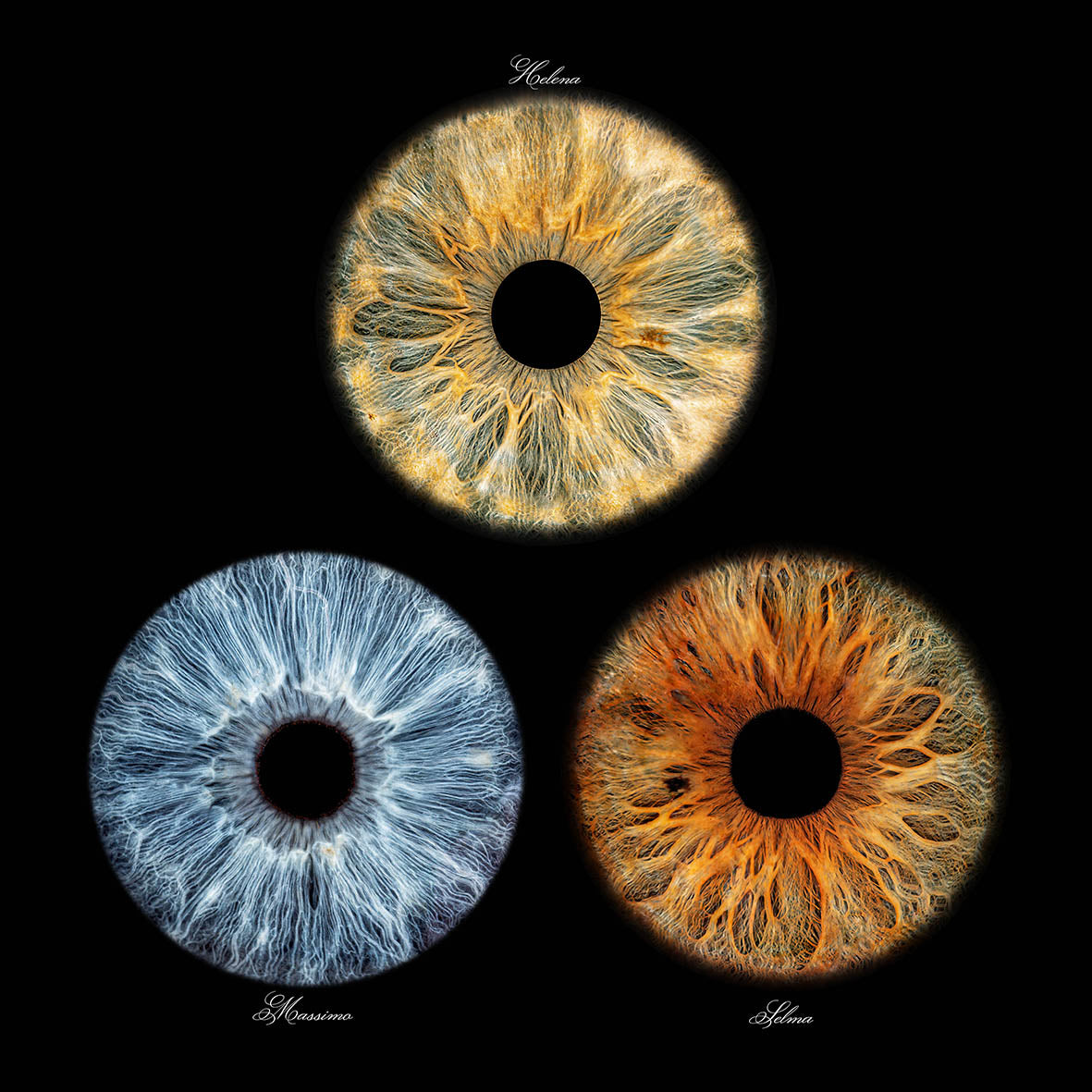 Impresión fotográfica HQ