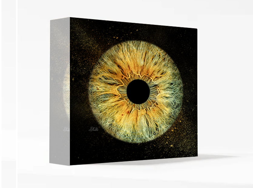 Bloque Acrílico sobremesa