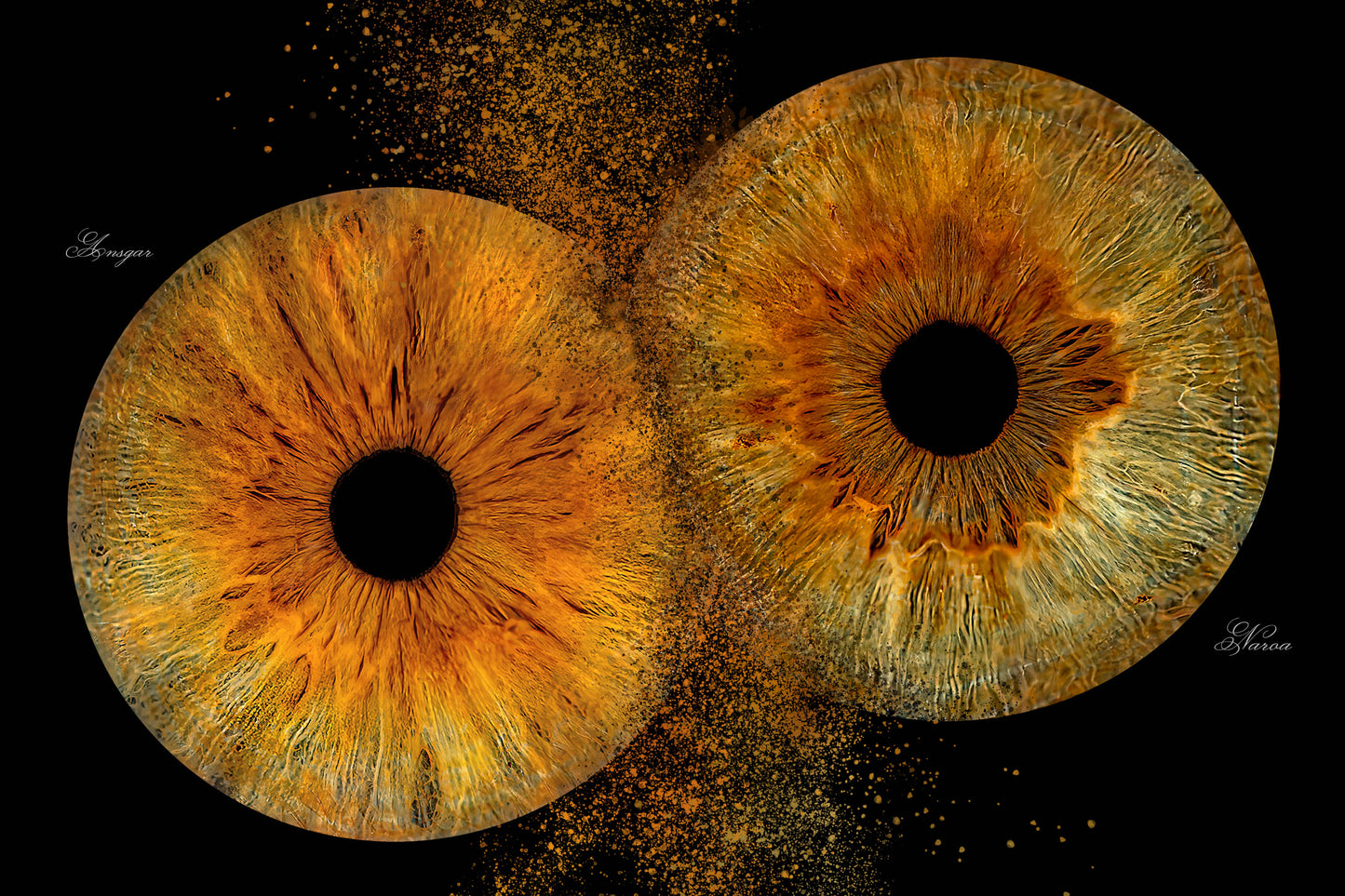 Tarjeta Regalo Iristellar