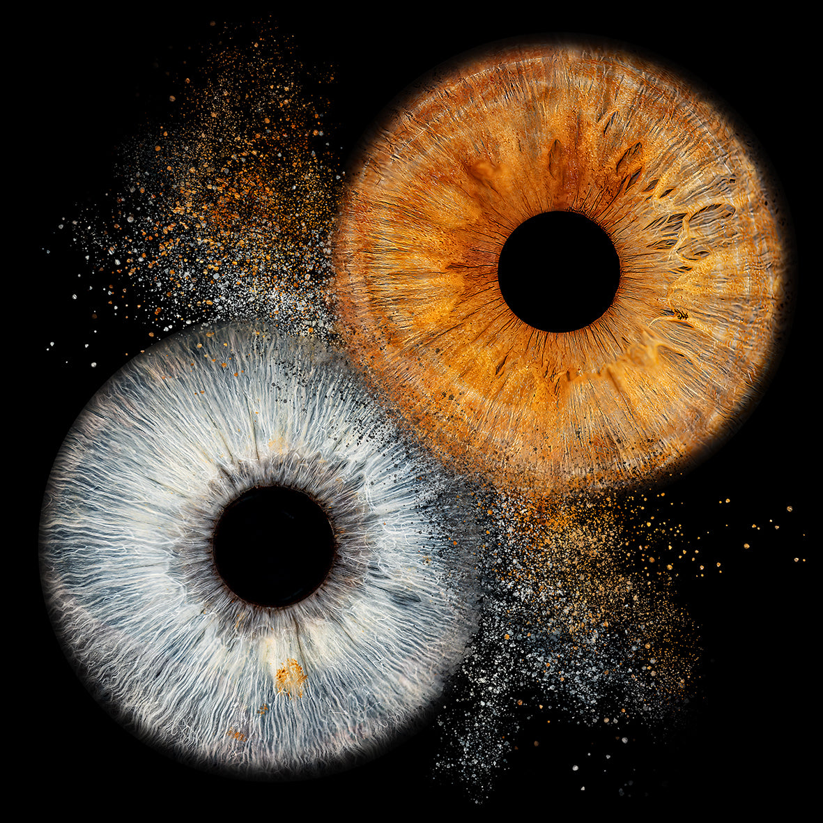 Impresión fotográfica HQ