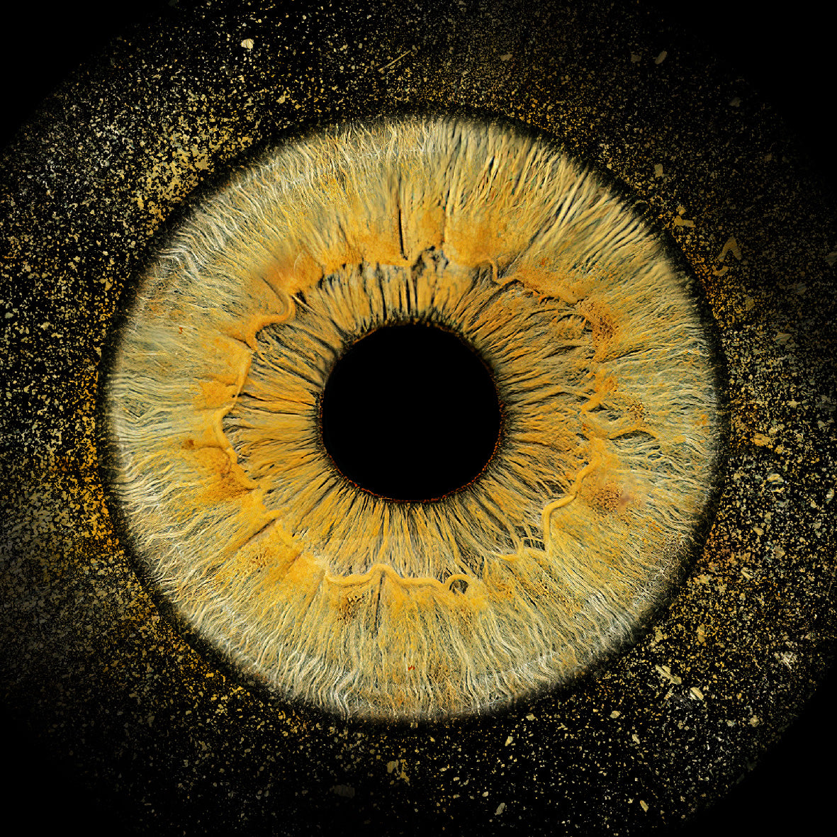 DIGITAL Arte 4K resolución