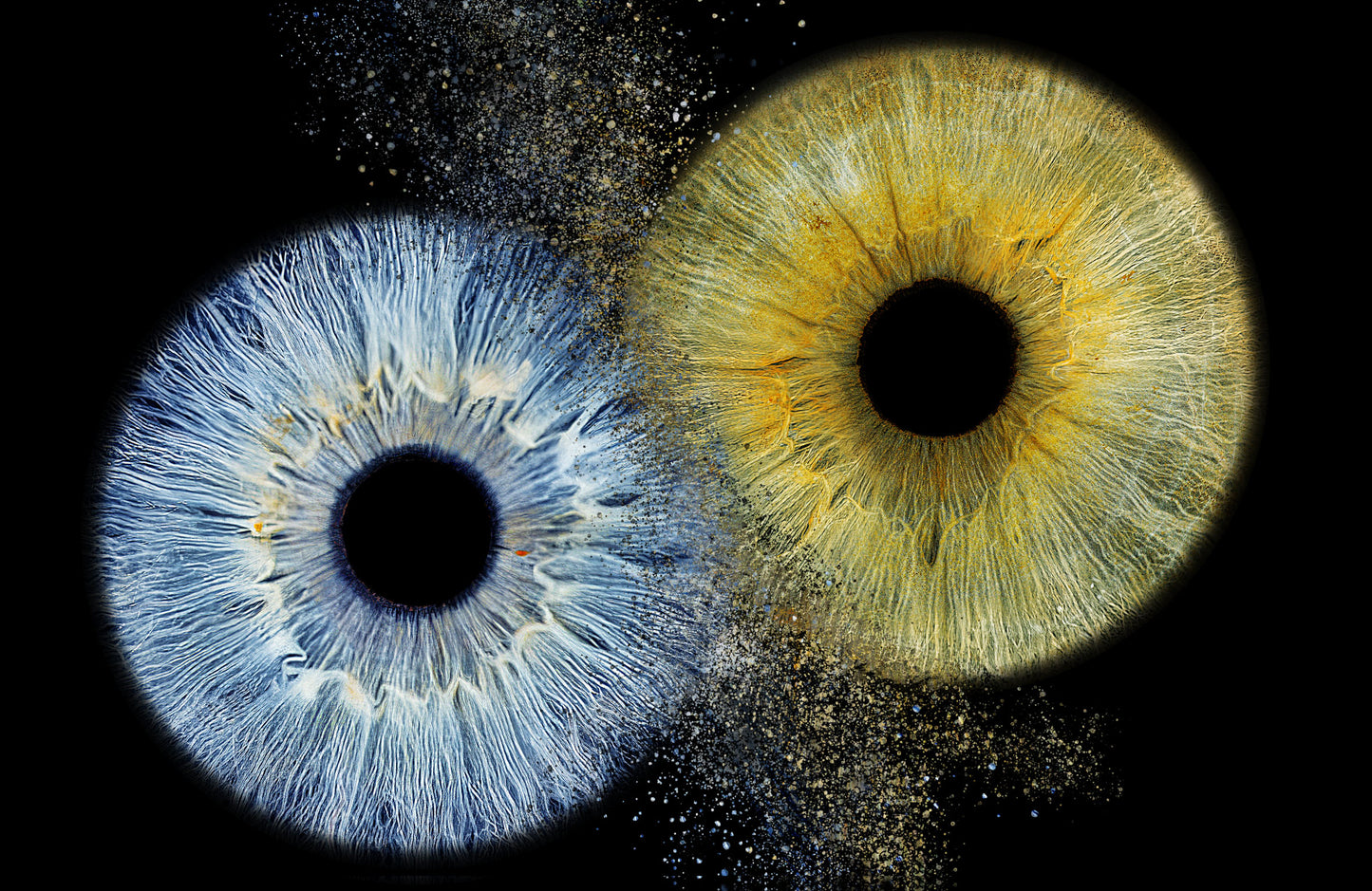 DIGITAL Arte 4K resolución